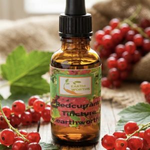 Red Currant tincture extracted in alcohol 30ml
