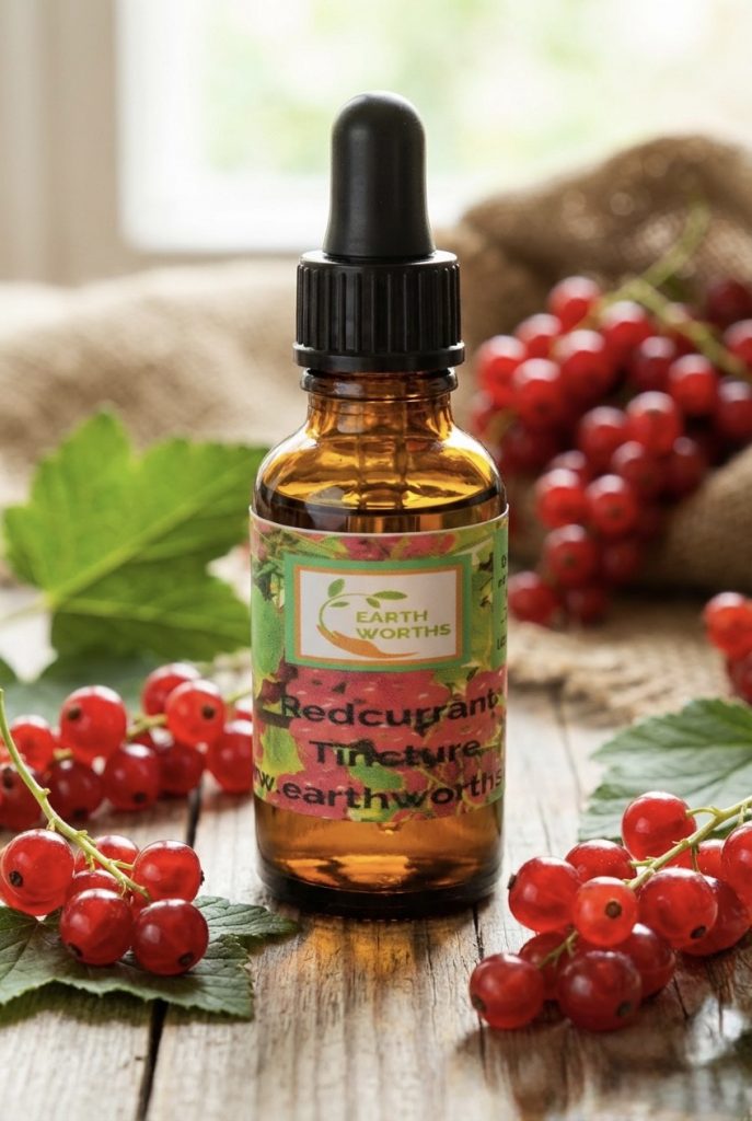 Red Currant tincture extracted in alcohol 30ml