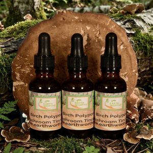 Birch Polypore Mushroom tincture extracted in alcohol 30ml