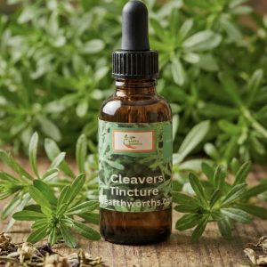 Cleavers tincture extracted in alcohol 30ml