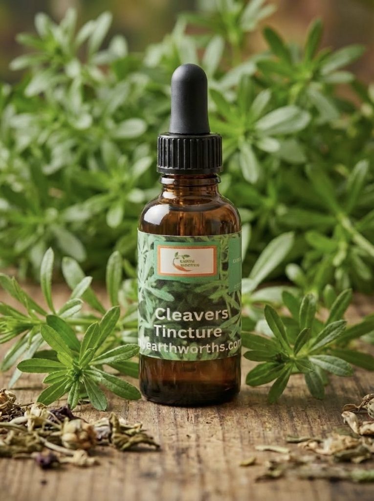Cleavers tincture extracted in alcohol 30ml