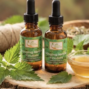 Stinging Nettle tincture extracted in apple cider vinegar  30ml