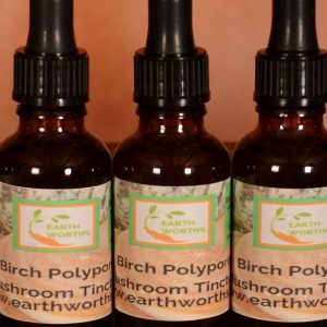 Birch Polypore Mushroom tincture extracted in alcohol 30ml
