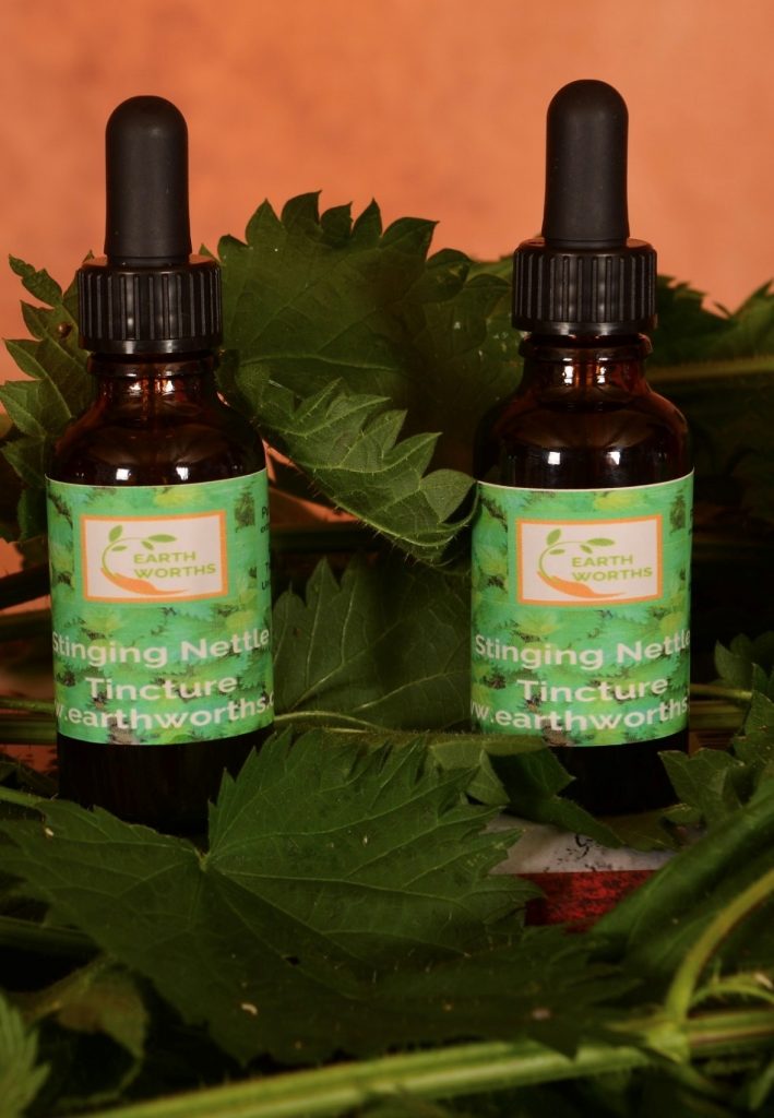 Stinging Nettle tincture extracted in apple cider vinegar / alcohol
