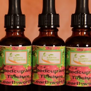 Red Currant tincture extracted in alcohol 30ml